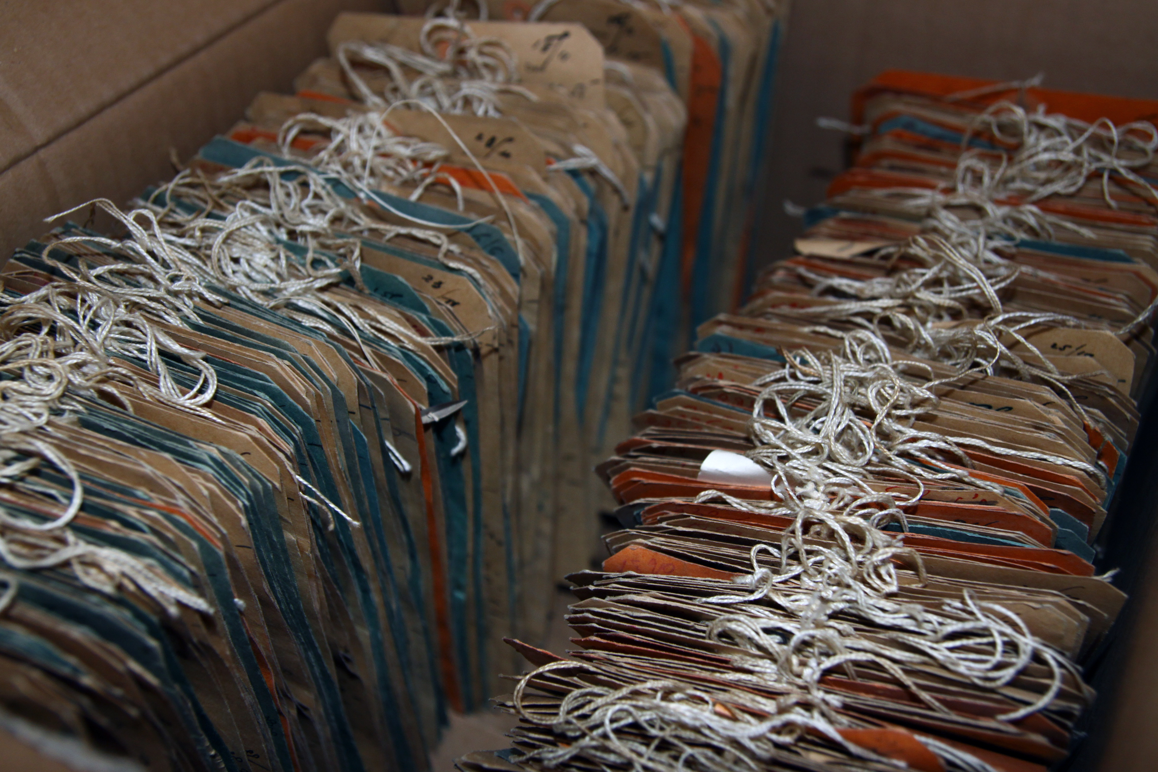 Fashion Home Slide 2